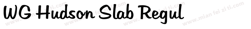 WG Hudson Slab Regul字体转换